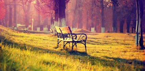 企业管理革新的网页攻击平台